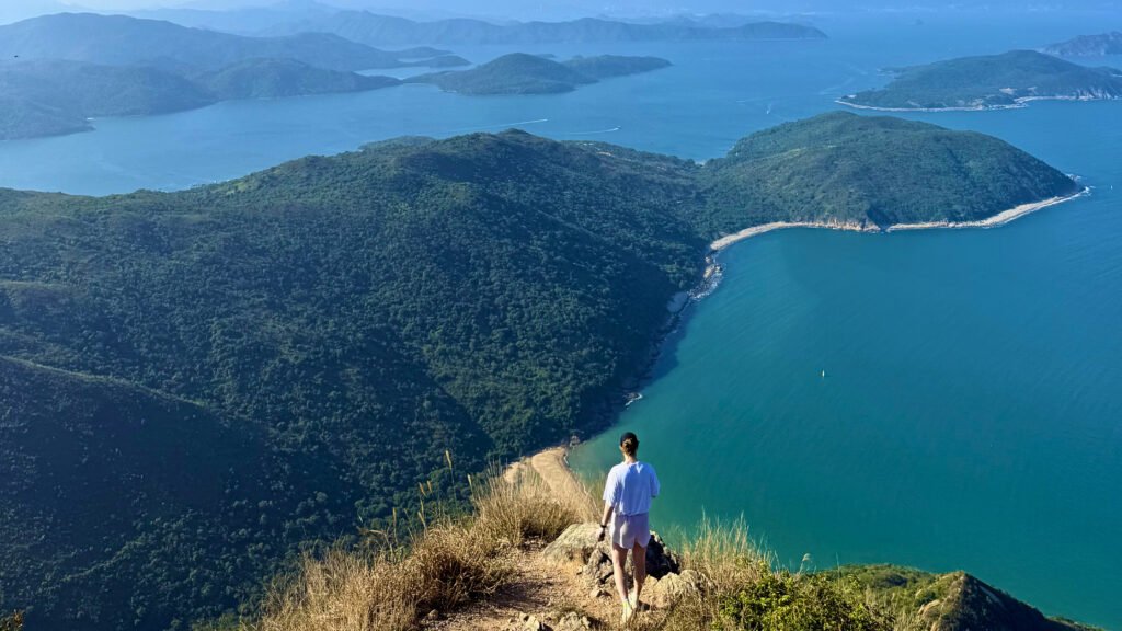 938d29ef 448c 4382 9f6d c13311cd9b77